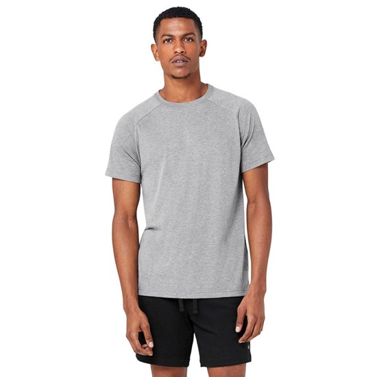 Camiseta Alo Yoga The Triumph Crew Neck Corta Sleeves Hombre Grises | QDME32986