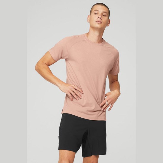 Camiseta Alo Yoga The Triumph Crew Neck Corta Sleeves Hombre Rosas | YTEF08674