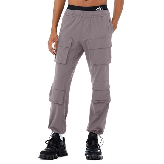 Pantalones Alo Yoga Cargo Venture Hombre Morados | PDMZ60298