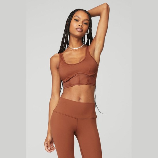 Tank Top Alo Yoga Airbrush Mesh Corset Mujer Marrom | DESQ58370
