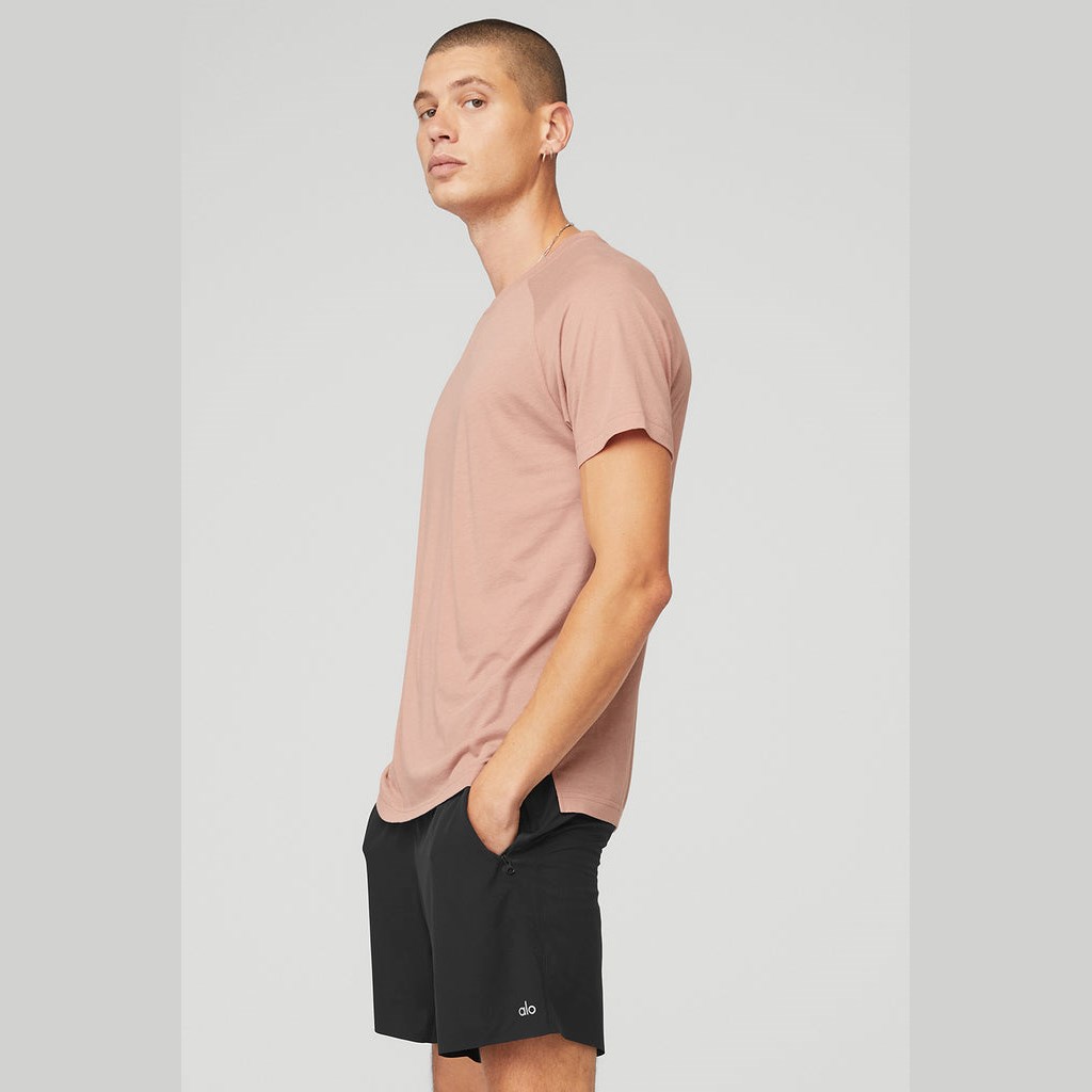 Camiseta Alo Yoga The Triumph Crew Neck Corta Sleeves Hombre Rosas | YTEF08674