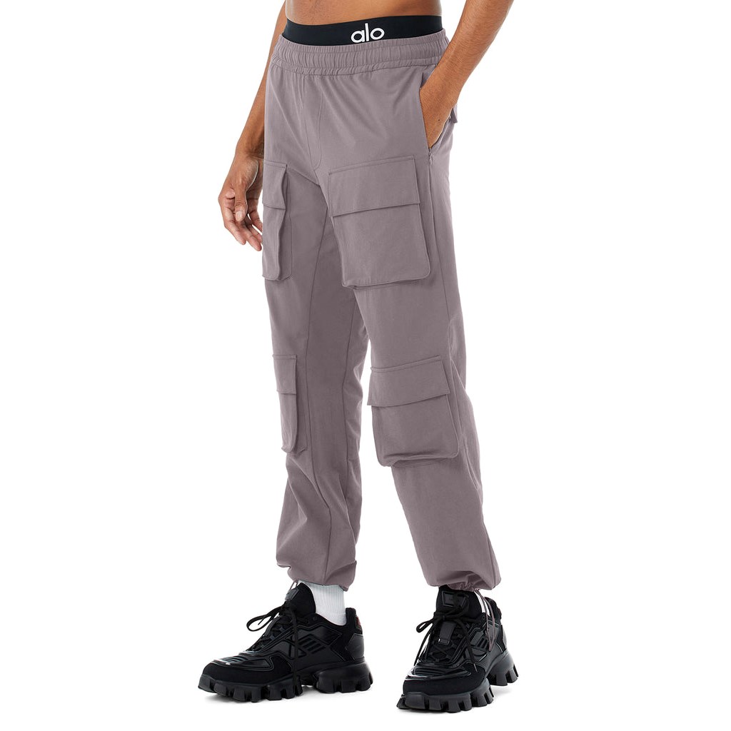 Pantalones Alo Yoga Cargo Venture Hombre Morados | PDMZ60298